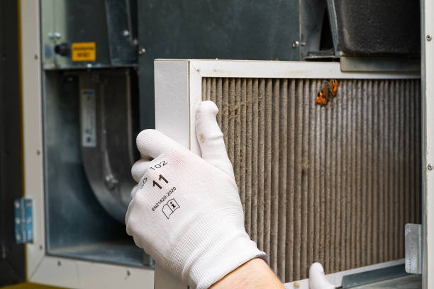 Best Affordable Air Duct Cleaning  in Buena Vista, VA